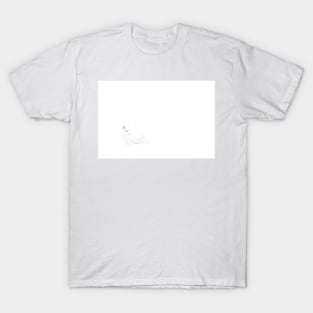 Arctic Fox T-Shirt